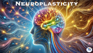 Neurplasticity